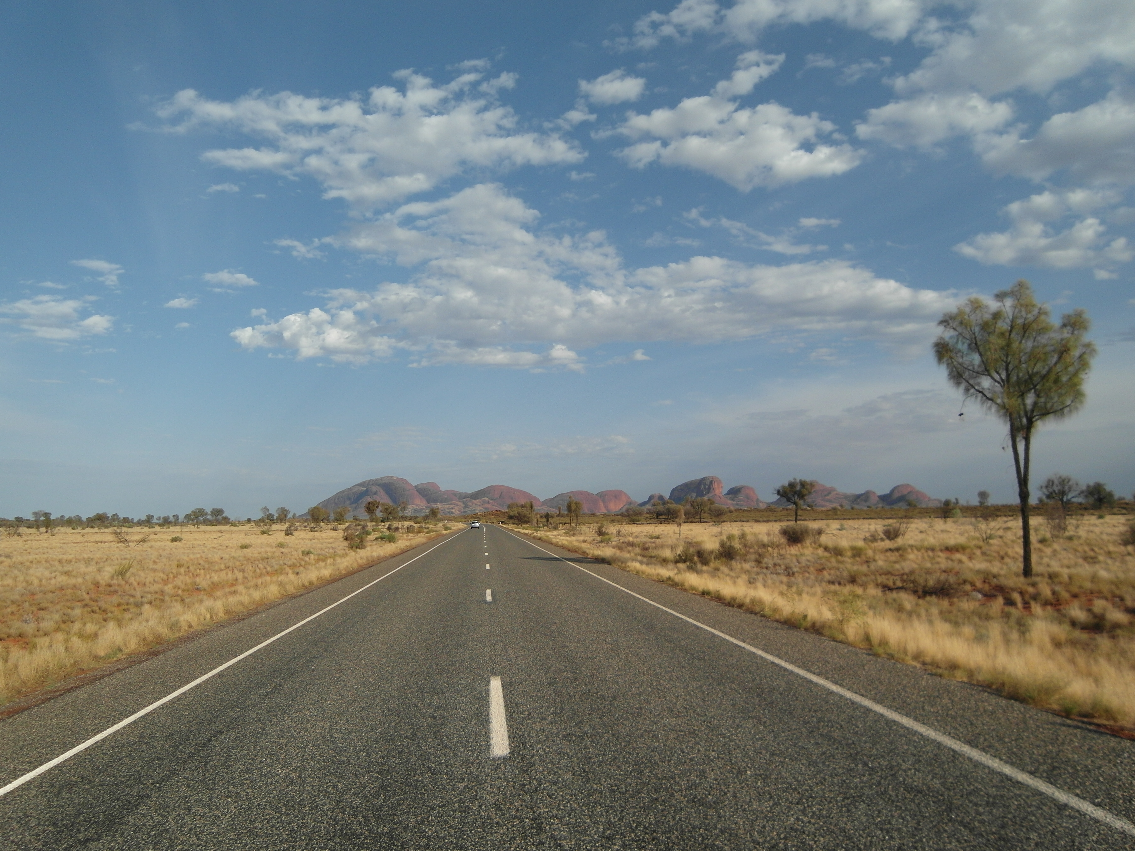 Remote dirt route and wide landscape during a long-distance rally stage